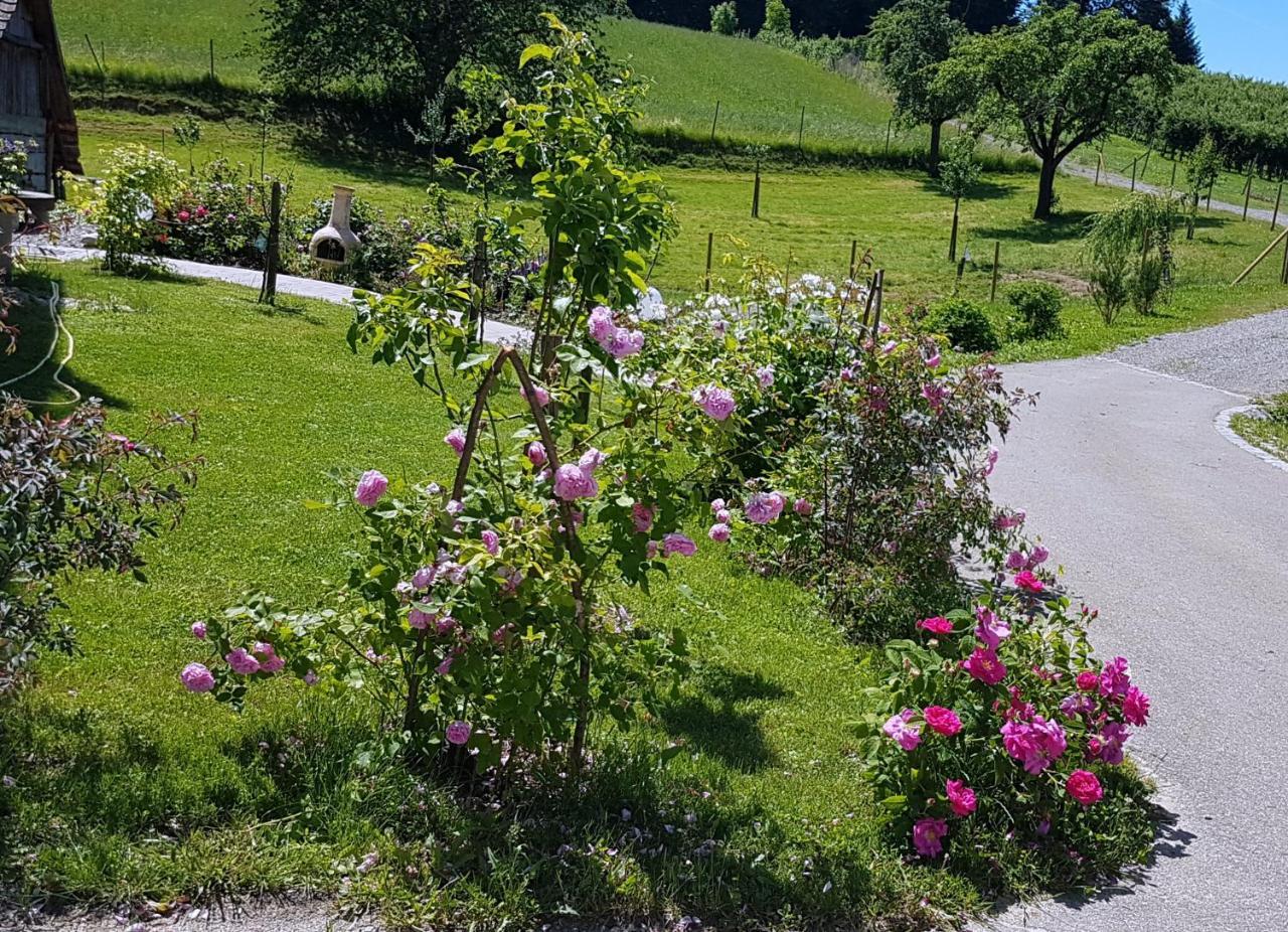 Hotel Landgut Apfelrose FDH Exterior foto